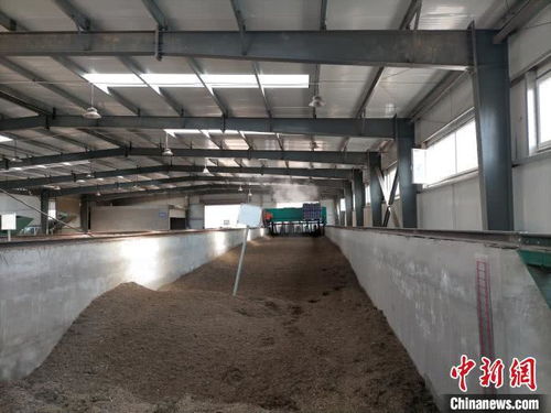 山西太原 園林垃圾資源化再利用，綠廢“變身”科創(chuàng)產(chǎn)品